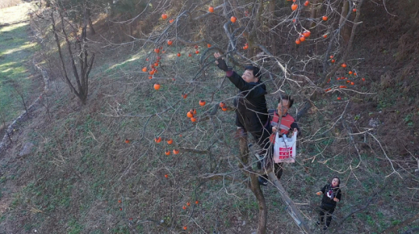 ▲'한국기행'(사진제공=EBS1)