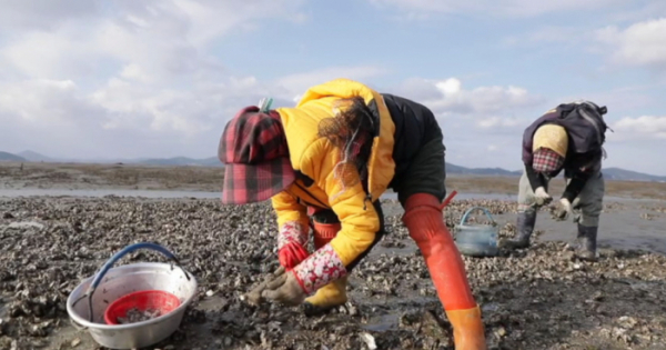 ▲'한국인의 밥상'(사진제공=KBS 1TV)