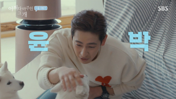 ▲'어바웃 펫–어쩌다 마주친 그 개'(사진제공=SBS)