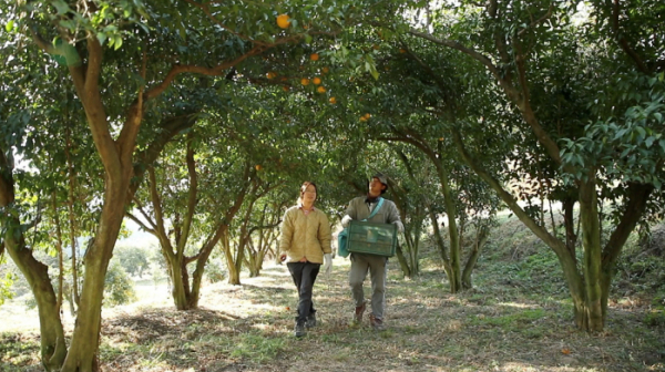 ▲'한국기행'(사진제공=EBS1)