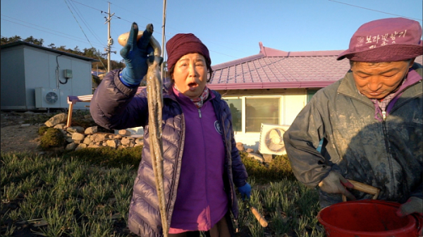 ▲'한국기행'(사진제공=EBS1)