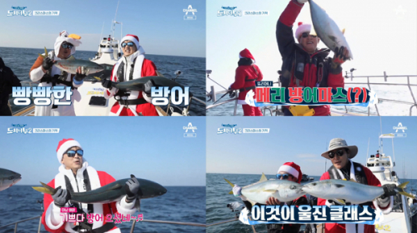 ▲부시리 방어(사진=채널A '도시어부2' 방송화면 캡처)