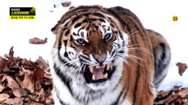 ▲‘이규연의 스포트라이트’(사진제공=JTBC)