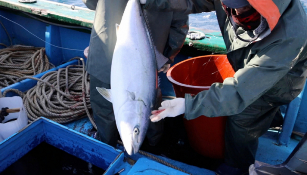 ▲‘바닷가 사람들’(사진제공=EBS1)