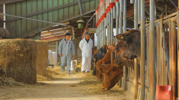 ▲'한국기행'(사진제공=EBS1)