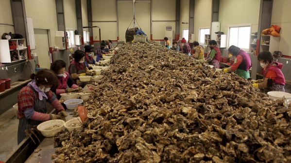 ▲'아주 각별한 기행'(사진제공=EBS1)