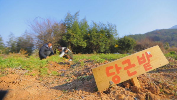 ▲'한국기행'(사진제공=EBS1)