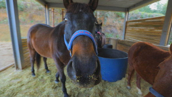 ▲'한국기행'(사진제공=EBS1)