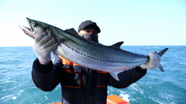 ▲'한국인의 밥상'(사진제공=KBS 1TV)