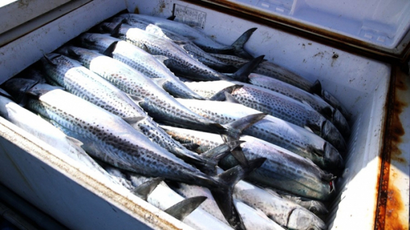 ▲'한국인의 밥상'(사진제공=KBS 1TV)