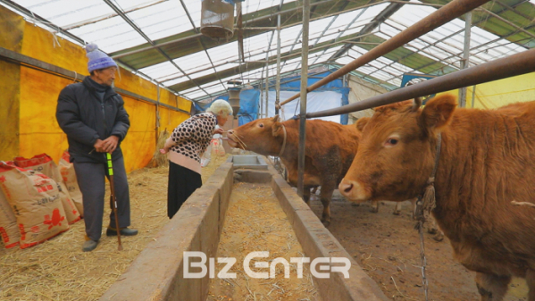 ▲'한국기행'(사진제공=EBS1)