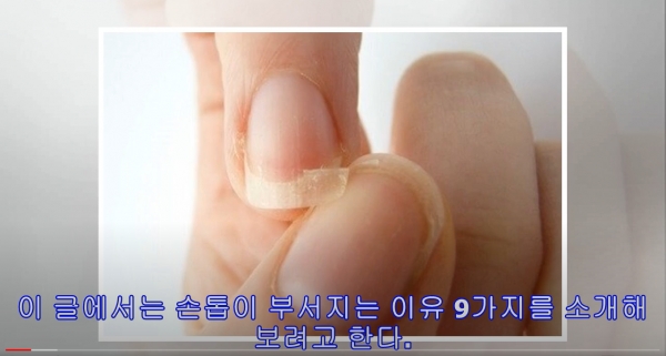 (사진출처=유튜브 <'bris channel'>)