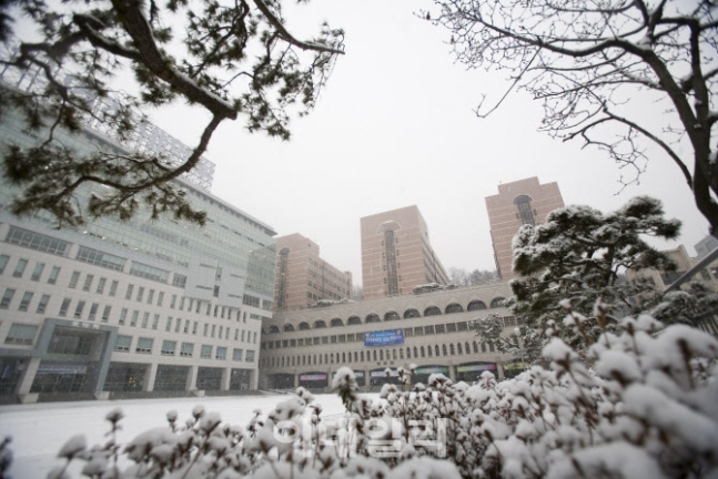 (성신여대 제공)