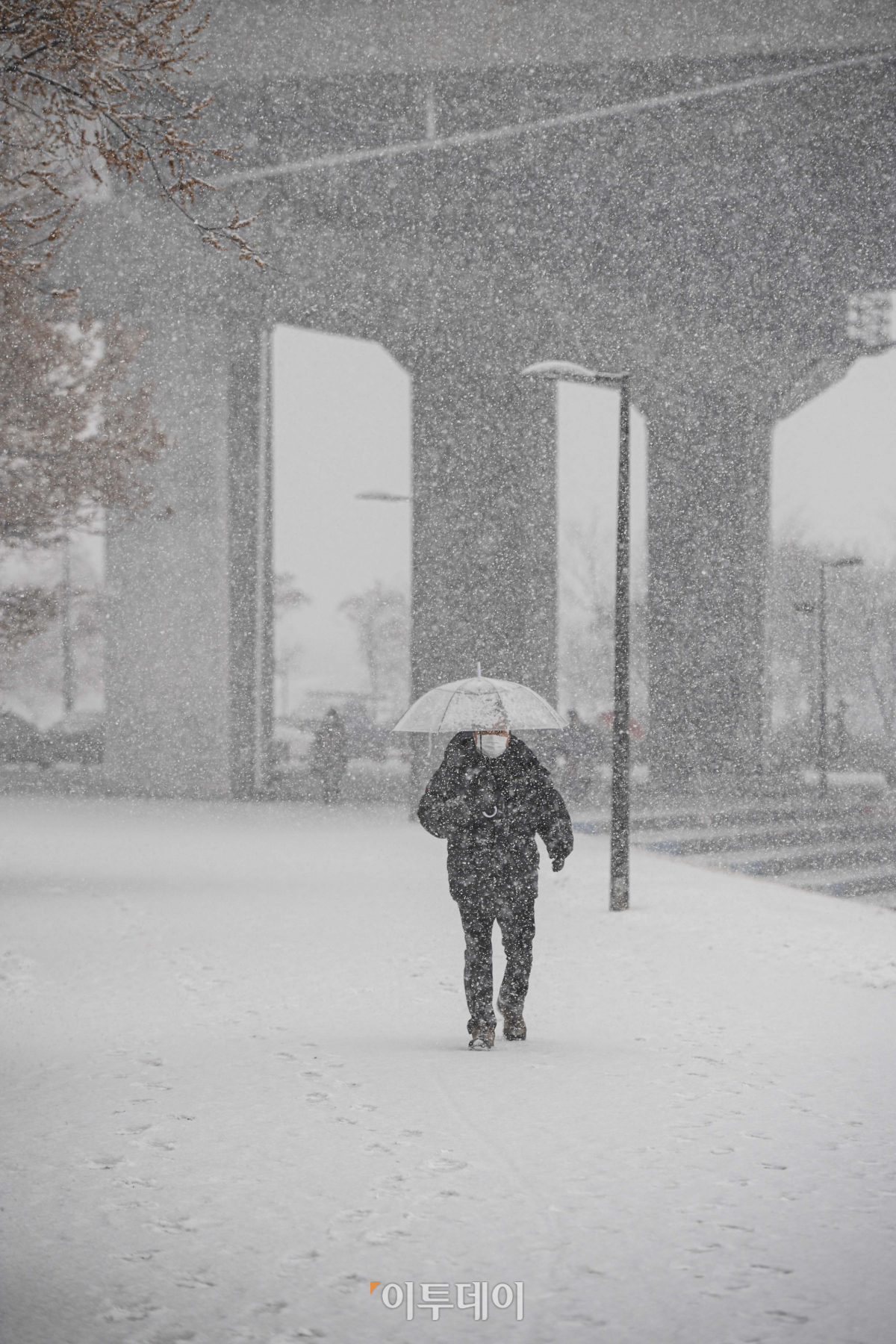 (조현호 기자 hyunho@)