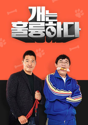 ▲개훌륭 공식입장 (출처=KBS2 '개는 훌륭하다' 홈페이지)