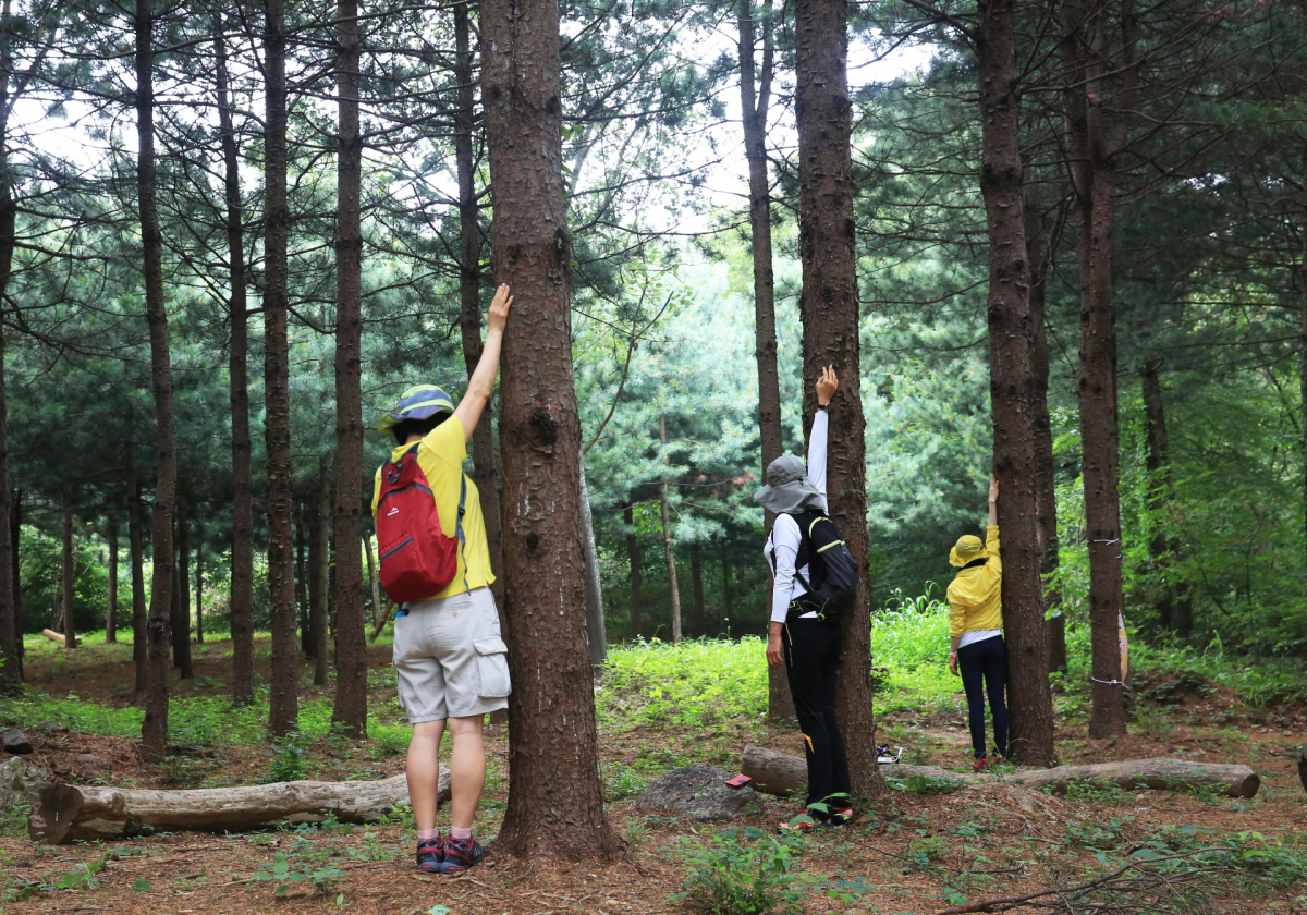 (사진제공=서울시)