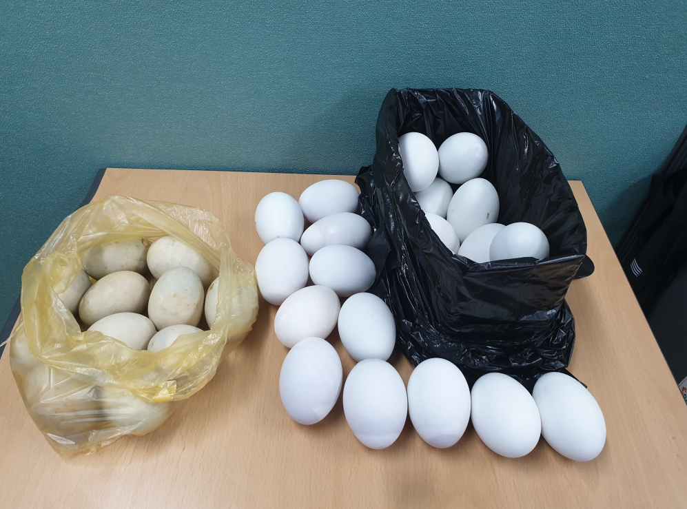 (사진제공=서울시)