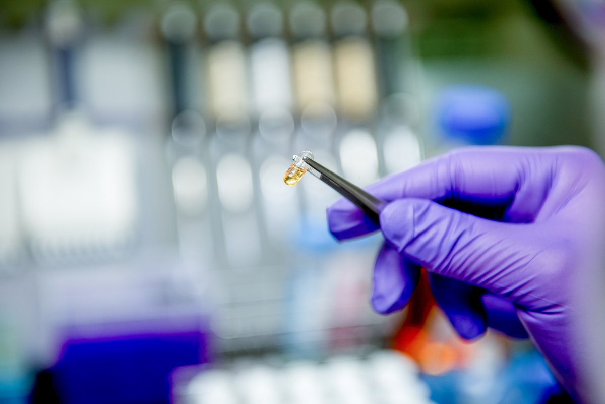 (사진제공=한국비엔씨)