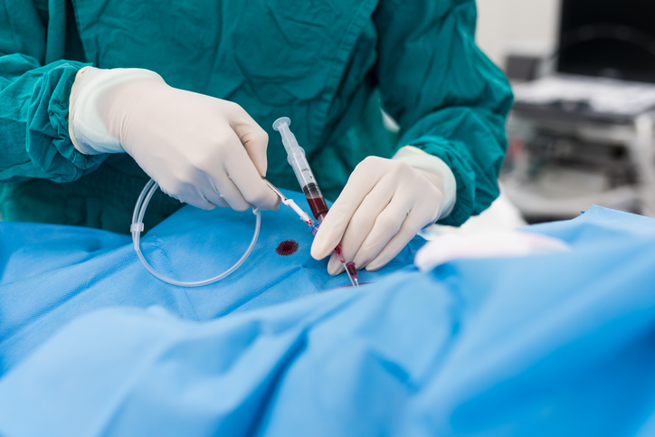 (게티이미지뱅크)