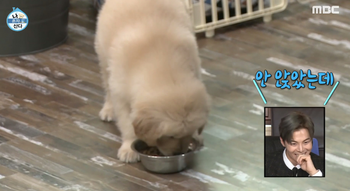 (출처=MBC '나혼자산다')