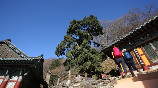 ▲'영상앨범 산' 조계산(사진제공=KBS 2TV)