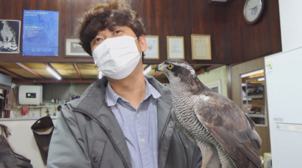 ▲순간포착 세상에 이런일이(사진제공=SBS)