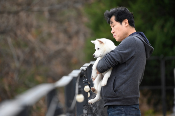 ▲'어쩌다 마주친 그 개'(사진제공=SBS)