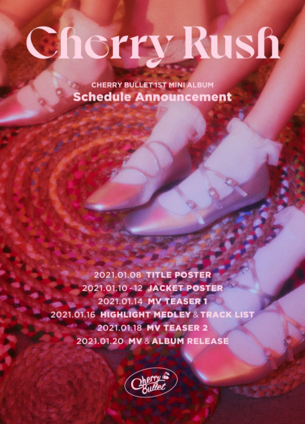 ▲체리블렛(사진제공=FNC엔터테인먼트)