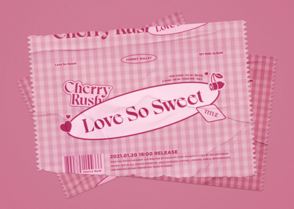 ▲체리블렛(사진제공=FNC엔터테인먼트)