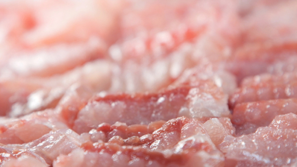 ▲‘바닷가 사람들’ 흑산도 홍어(사진제공=EBS1)