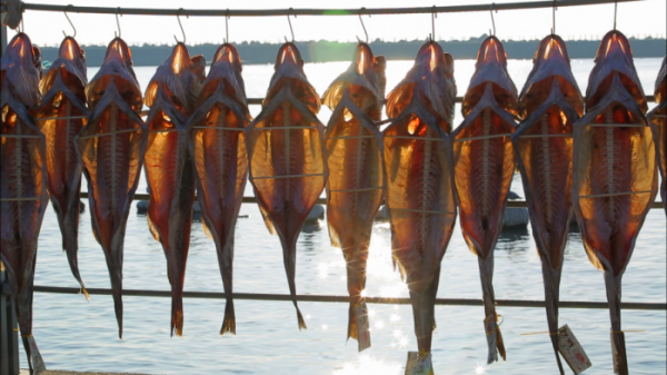 ▲'극한직업'(사진제공=EBS1)