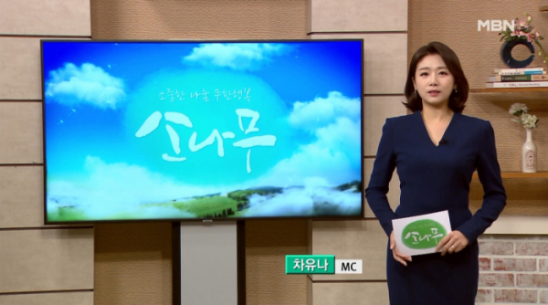 ▲MBN '소나무'(사진제공=MBN)