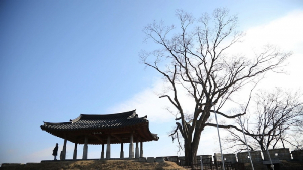 ▲'김영철의 동네 한 바퀴' (사진제공=KBS 1TV)