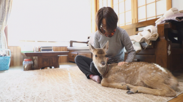 ▲'TV동물농장'(사진제공=SBS)