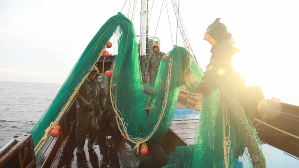 ▲‘바닷가 사람들’(사진제공=EBS1)