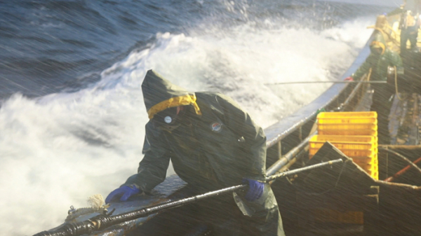 ▲‘바닷가 사람들’(사진제공=EBS1)