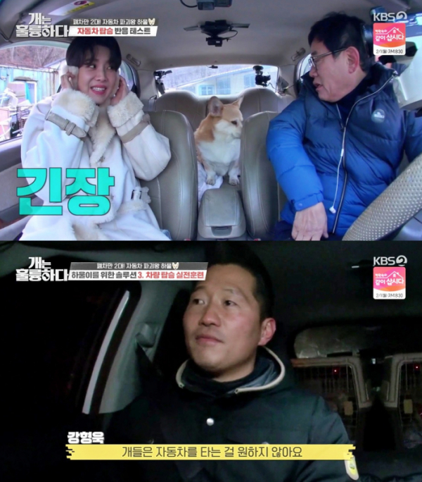 ▲'개는 훌륭하다'(사진제공=KBS 2TV)