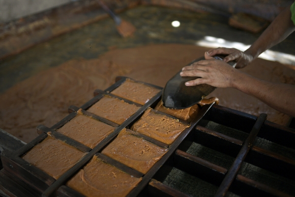 ▲베네수엘라의 메리다의 한 설탕 공장에서 근로자가 비정제 원당인 ‘파넬라’를 만들고 있다. 메리다/AP뉴시스
