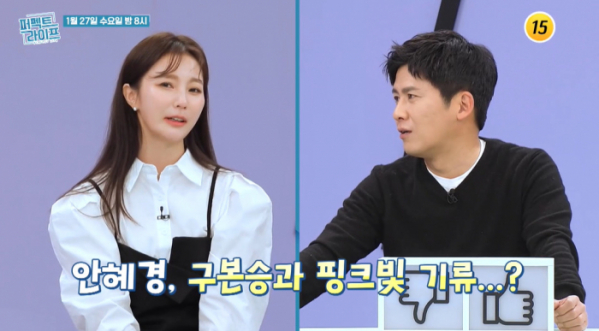 ▲'퍼펙트라이프' 안혜경(사진제공=TV조선)
