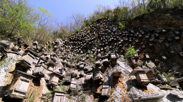 ▲'세계테마기행'(사진제공=EBS1)