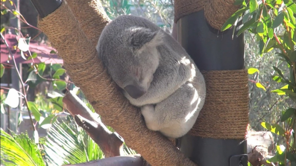 ▲'걸어서 세계속으로'(사진제공=KBS 1TV)