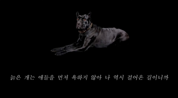 ▲아웃사이더 '늙은 개'(사진=아웃사이더 유튜브)