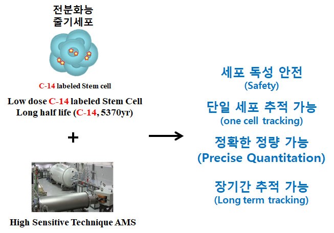 ▲줄기세포치료제 개발기술의 특장점 (사진 = 바이온)