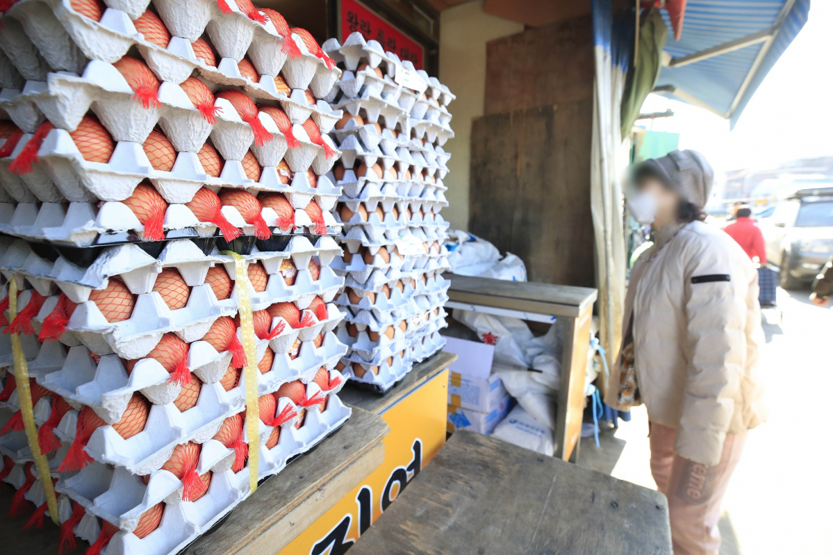 ▲서울 동대문구 청량리 농수산물시장의 한 달걀 가게에 달걀이 진열돼 있다. (뉴시스)