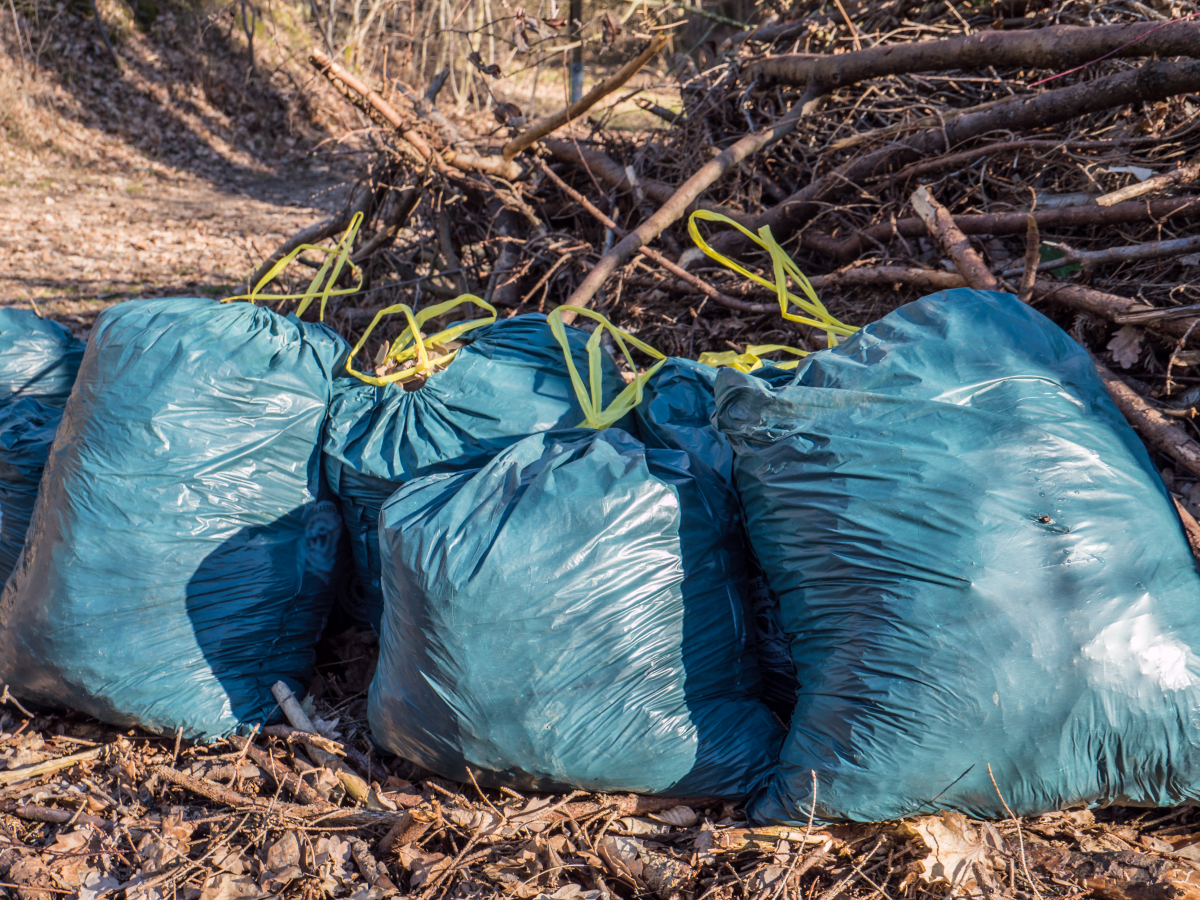 ▲서울 종암경찰서는 성북구 장위동에 사는 A씨와 60대 모친이 지난달 27일 신고한 달러화 분실 사건을 신고자의 오인으로 보고 내사종결했다고 5일 밝혔다. 사진은 기사 내용과 관계 없음. (게티이미지뱅크)