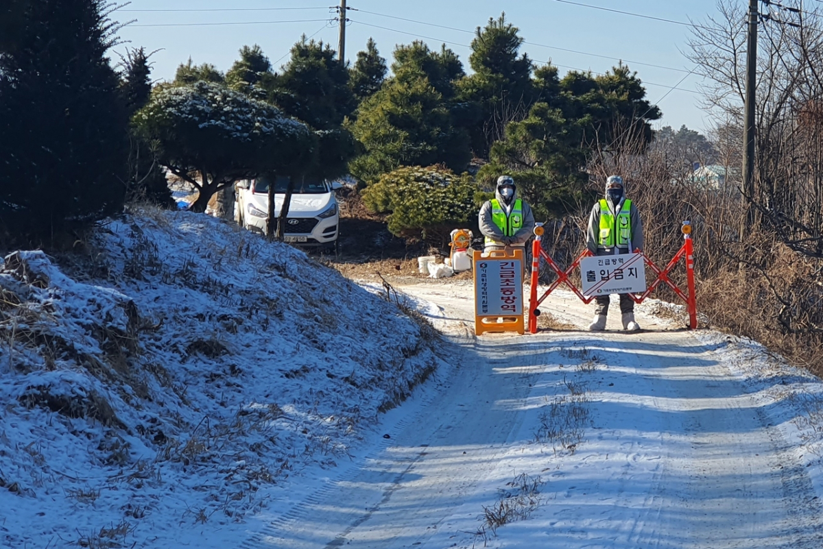 ▲조류인플루엔자(AI) 항원이 검출된 충북 충주시 동량면의 종오리 농장에서 방역요원들이 출입을 통제하고 있다. (뉴시스)