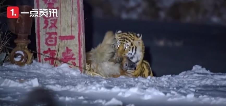 (출처=페이뎬파이커 캡처)