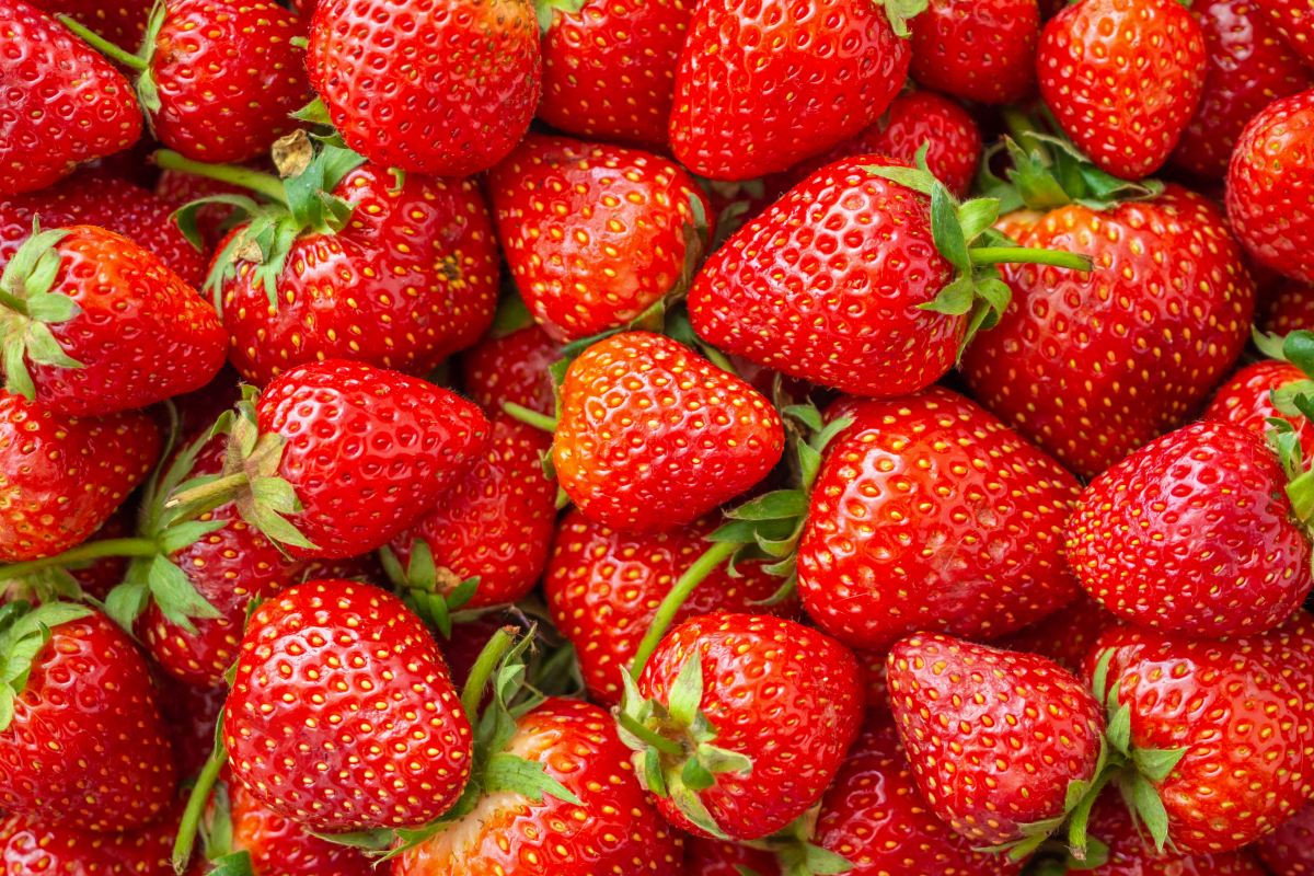 ▲딸기는 새로운 겨울 과일의 제왕으로 등극했다. (게티이미지뱅크)