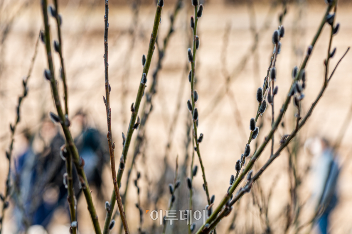 (조현호 기자 hyunho@)