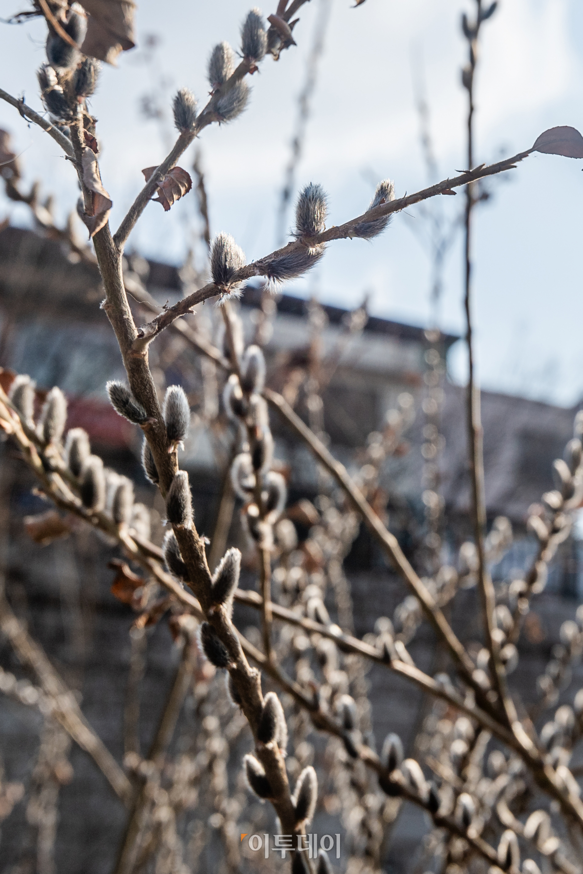 (조현호 기자 hyunho@)